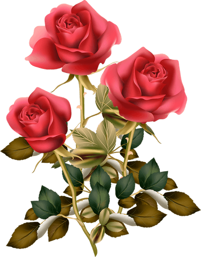 flowers love picsart png 